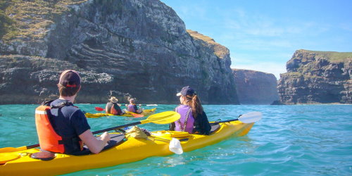 Kayak Adventure Akaroa